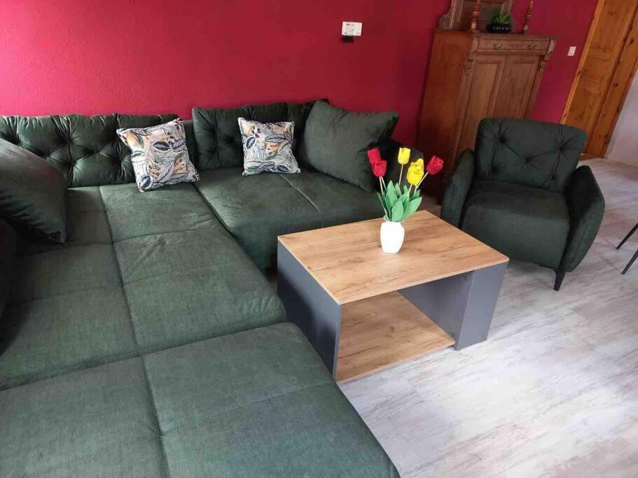 Maisonette-Fewo Fritz Mit Infrarotsauna Großschönau Kültér fotó